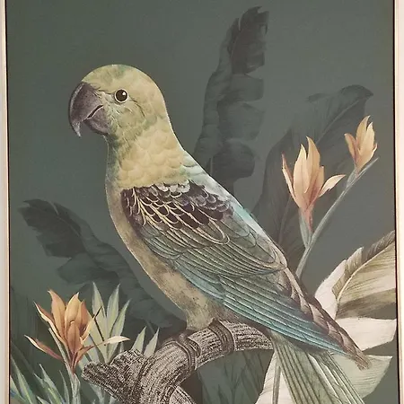 Stressfree Charm House 4*